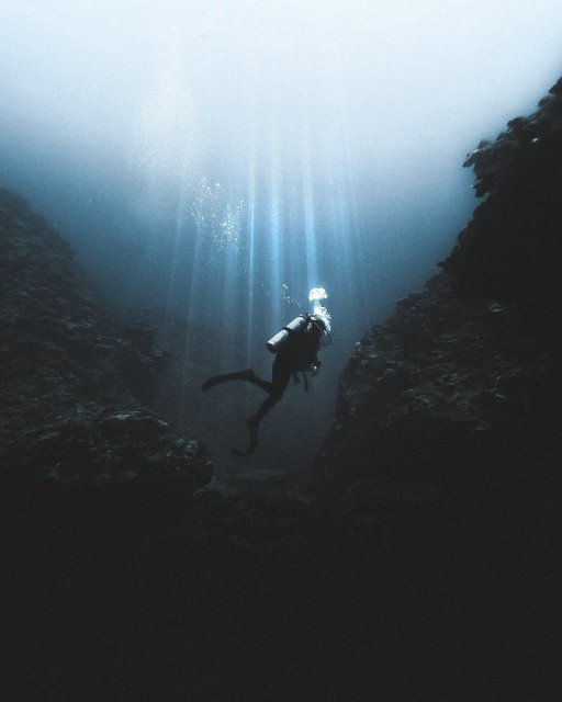 10 Essential Steps to Becoming a Professional Scuba Diver