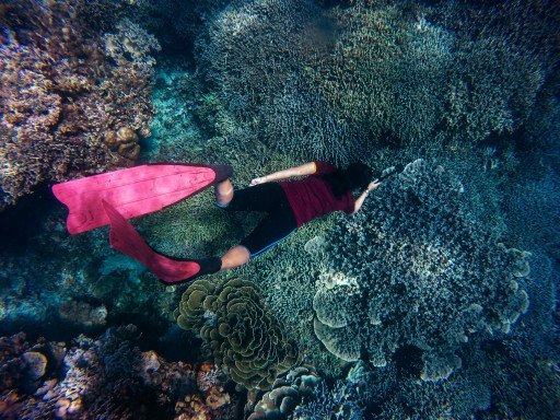 Discovering the Underwater Paradise: An In-depth Guide to Captain Cook Snorkeling