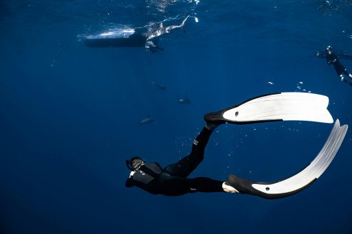 Choosing Perfect Snorkel Flippers: 7 Key Considerations