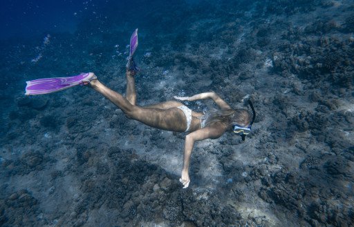 RAID Scuba Diving Adventure: Dive into the Ultimate Experience